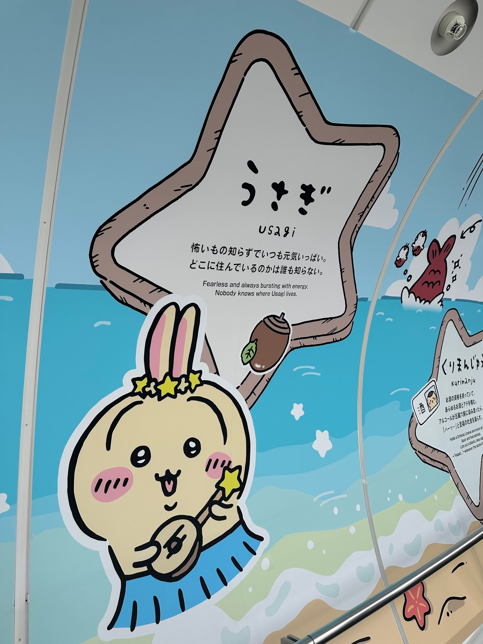 うさぎのキャラクター紹介パネル